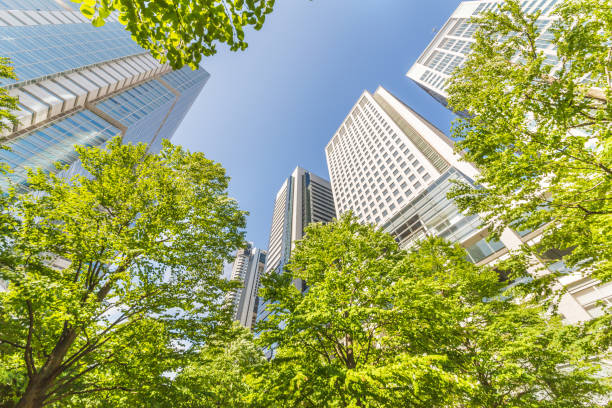 istock Fresh green and skyscrapers 968084074