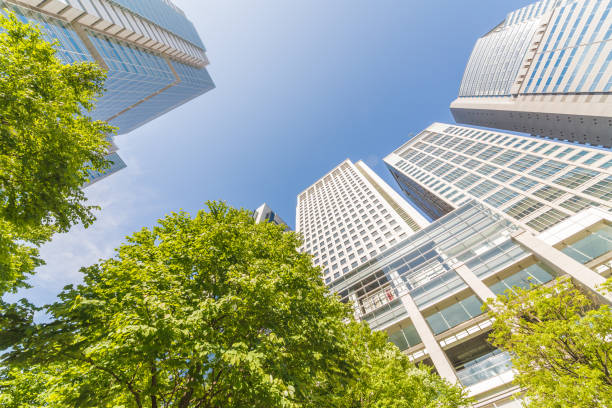 istock Fresh green and skyscrapers 968086326