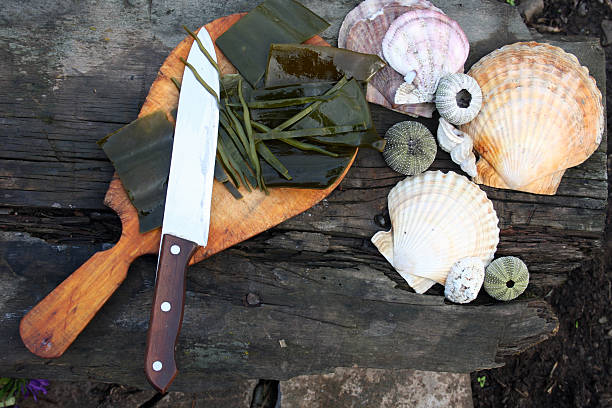 istock Laminaria - seaweed cut on pieces. 96812558