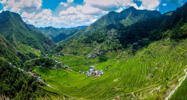 Panoramic view of rice terraces. Batad, Philippines