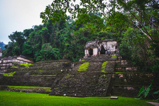 istock Palenque ruins, Chiapas, Mexico 968140106