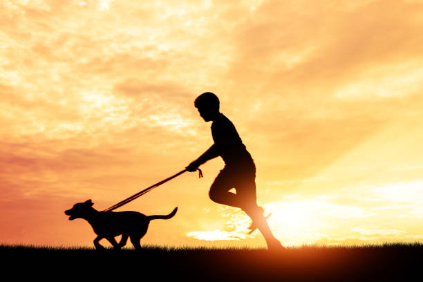 istock Silhouette child playing with dogs, Concept play with dog. 968153248