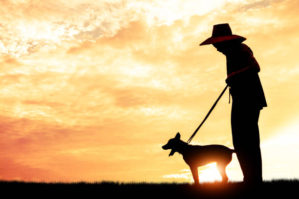 istock Silhouette child playing with dogs, Concept play with dog. 968153368