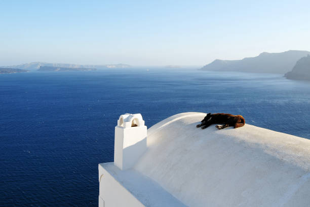 Tranquil and Leisure Life stock photo