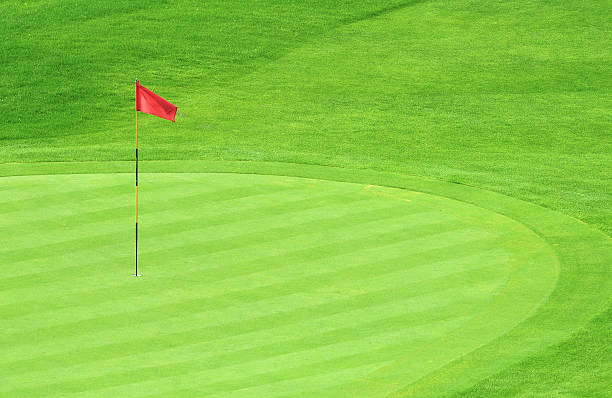 istock Far Shot of a Red Flag on a Golf Green 96816074