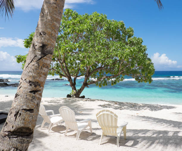 istock View onto a white sand beach with trees, shade and chairs for relaxation on a sunny day, looking towards the South Pacific Ocean. Photographed on Upolu Island, Samoa, Landscape orientation. 968162202