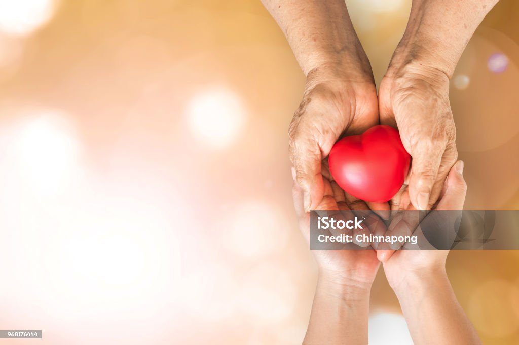 Elderly senior person or grandparent's hands with red heart  in support of nursing family caregiver for national hospice palliative care and family caregivers month concept Senior Adult Stock Photo