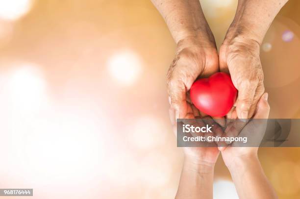 Elderly Senior Person Or Grandparents Hands With Red Heart In Support Of Nursing Family Caregiver For National Hospice Palliative Care And Family Caregivers Month Concept Stock Photo - Download Image Now