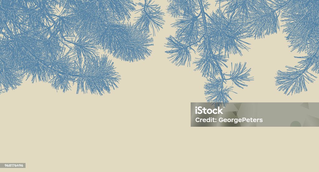 Ponderosa Pine branches background Pen and ink illustration of Ponderosa Pine branches background Forest stock vector