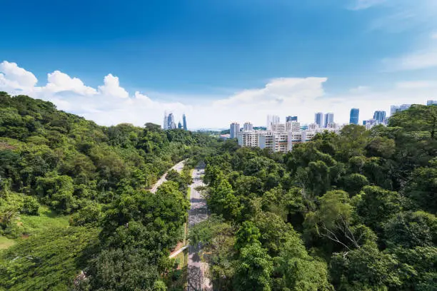 Singapore City in forest with airplane blue sky, View point from Henderson Wave, Singapore