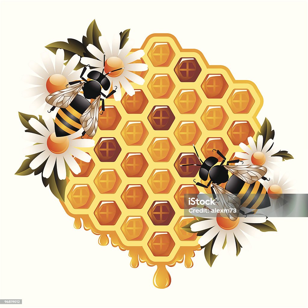 Floral Honey Concept  Animal Wing stock vector
