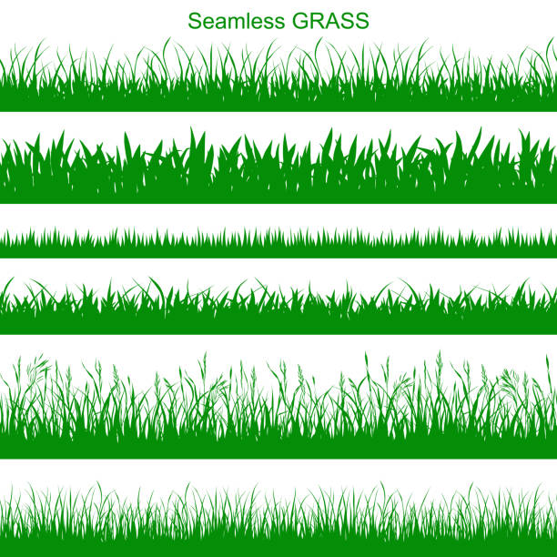 Seamless grass vector art illustration