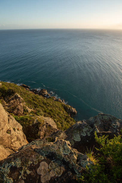 istock View along the rugged coastline of Table Cape 968194646