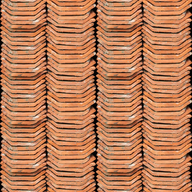 textura transparente foto de pila holandesa techo teja - tegula fotografías e imágenes de stock