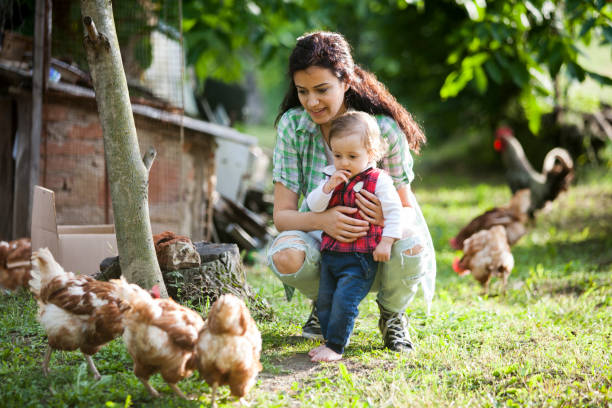 istock mother and daughter having fun at chicken farm 968197360
