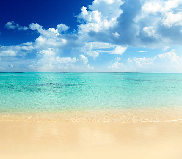 istock sand of beach caribbean sea 96820202