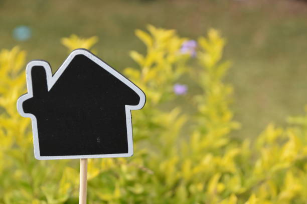 istock A miniature black house in nature 968203826