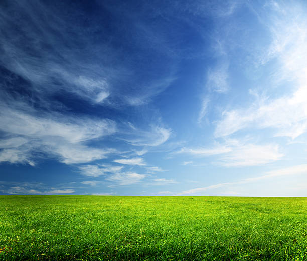 istock field of grass and sunset 96820645