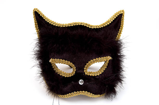 Black cat mask stock photo