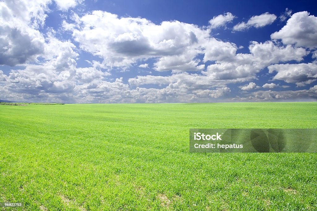 Nubes y campo - Foto de stock de Agricultura libre de derechos