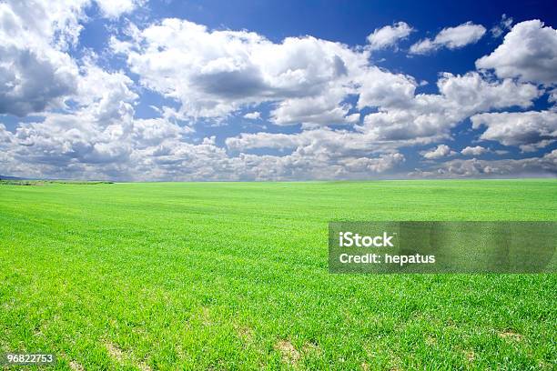 Nubes Y Campo Foto de stock y más banco de imágenes de Agricultura - Agricultura, Aire libre, Ajardinado