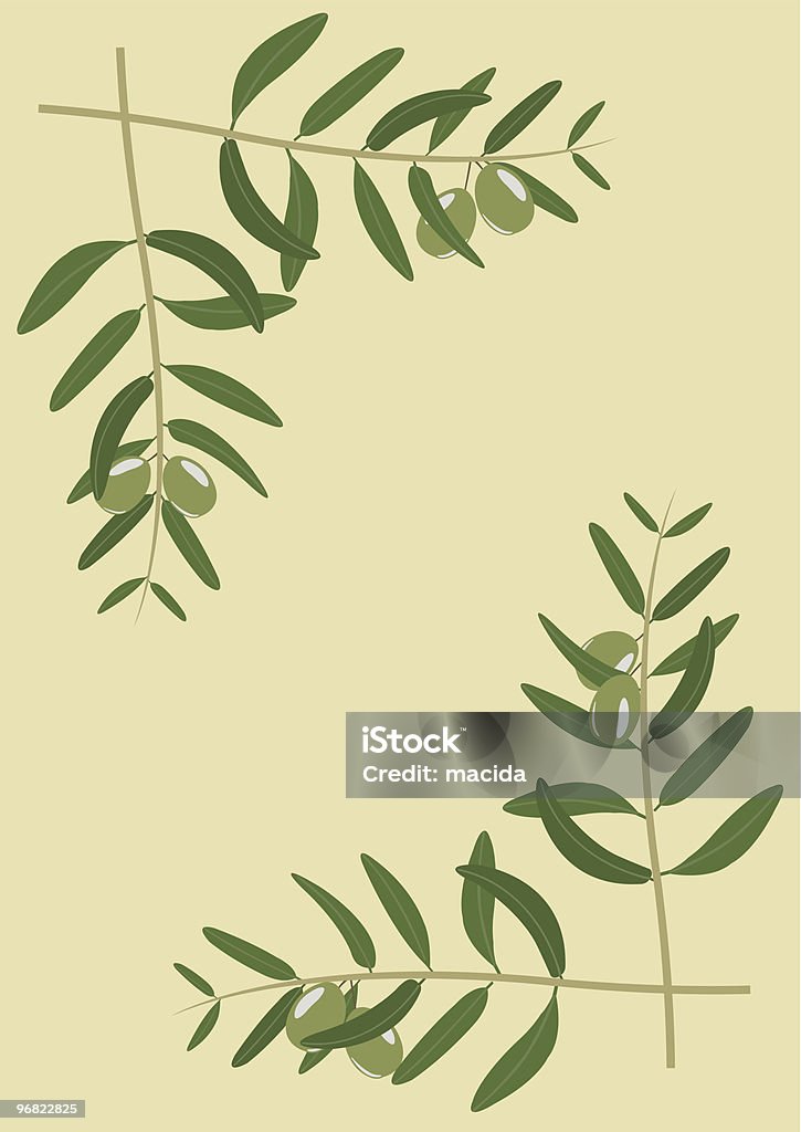 olive branch - arte vectorial de Aceite de oliva libre de derechos