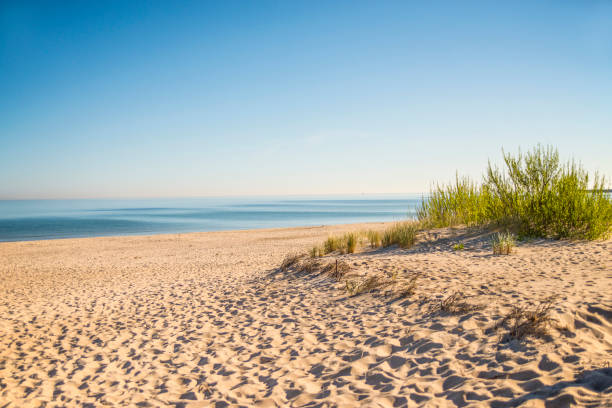 istock beach of the Baltic sea with beach grass 968229456