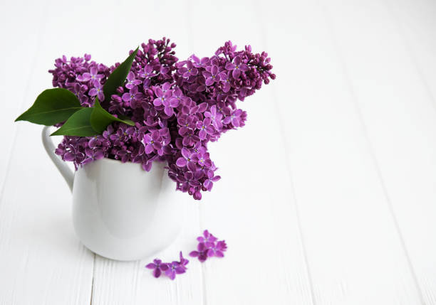 istock Bouquet of lilac flowers 968232008