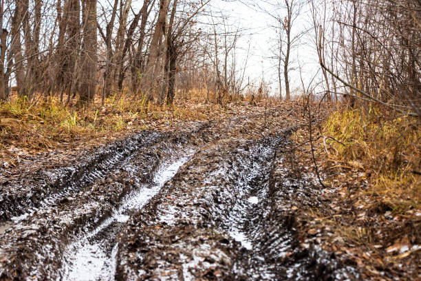 秋の森のオフロード トラック - off road vehicle 4x4 snow driving ストックフォトと画像