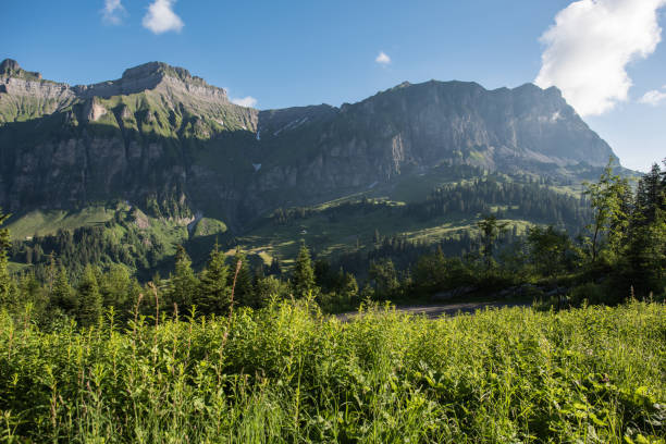 istock nature landscape switzerland 968237674