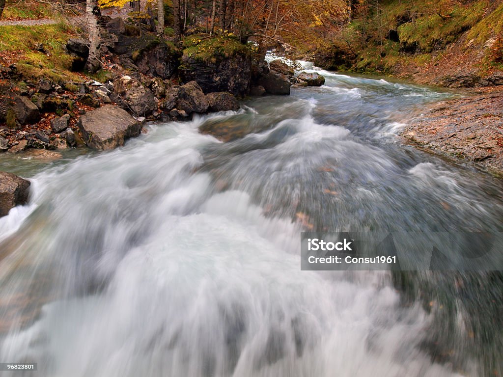 Rápidos del río - Foto de stock de Aire libre libre de derechos