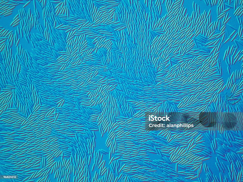 Photomicrograph von Pilz spores mit insgesamt Blau - Lizenzfrei Bildhintergrund Stock-Foto