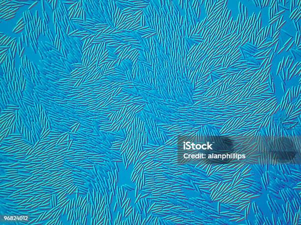 Foto de Photomicrograph De Fungo Esporos Com Uma Coloração Azul Geral e mais fotos de stock de Alta Magnificação
