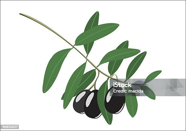 Gałązka Branch - Stockowe grafiki wektorowe i więcej obrazów Drzewo oliwne - Drzewo oliwne, Liść, Oliwka