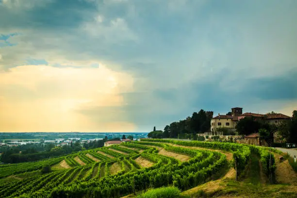 Photo of Storm over the vineyard