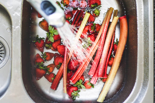 新鮮なイチゴとルバーブの台所の流しで水洗い。デザートやジャムの料理の食材の準備。自身の園または農夫の市場から季節の料理。 - washing fruit preparing food strawberry ストックフォトと画像