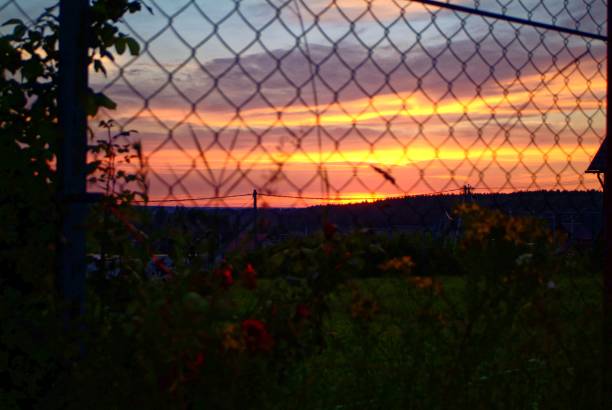 istock colorful summer sunset from the countryside 968250744