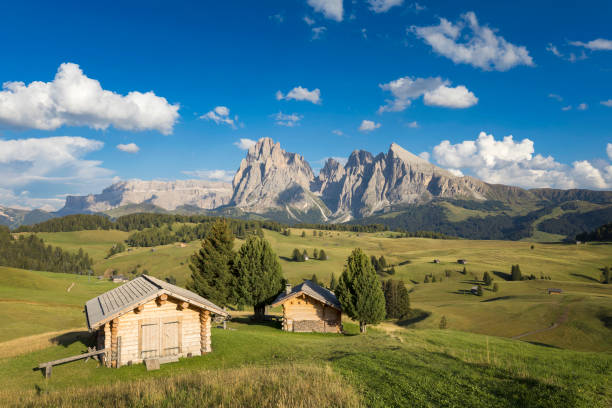 istock Alpe di Siusi, South Tyrol, Italy 968253794
