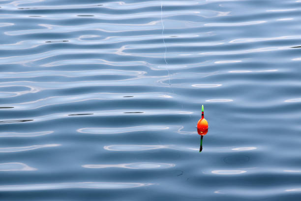 Fishing float on the water with waves and beautiful reflection