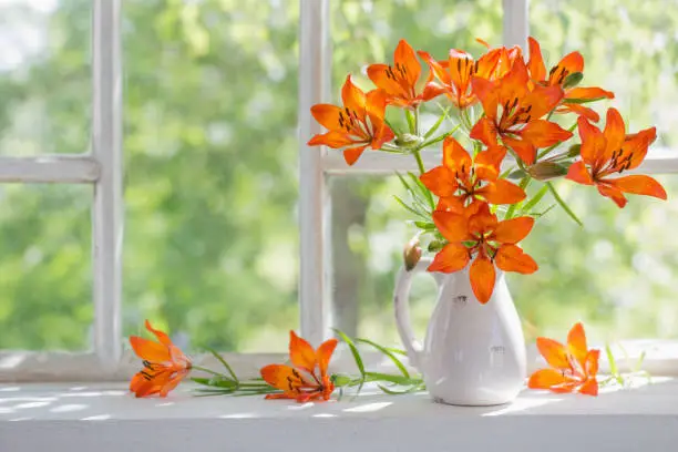 Photo of orange lily on windowsill