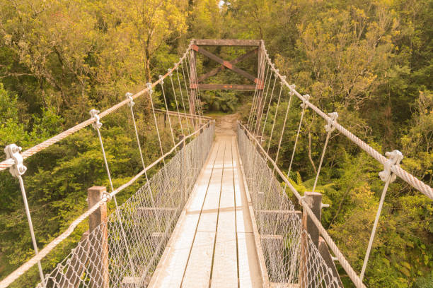 istock Walking wooden suspension bridge leading to tropical deep forest 968282292