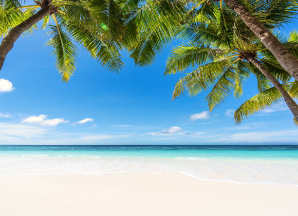 istock Tropical paradise beach idyllic landscape 968285288