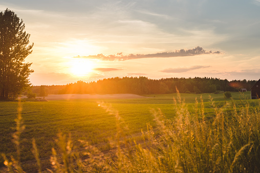 Beautiful summer landscape in afternoon sunset\nPhoto taken in rural Sweden