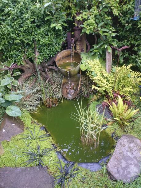 istock Beautiful little garden pond surrounded by luscious foliage 968293636