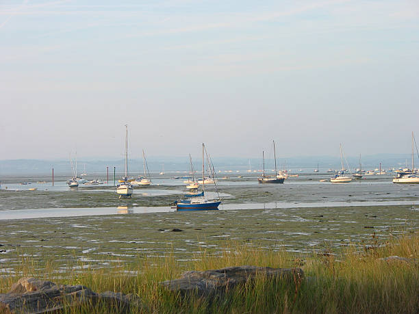 Evening in Chichester Harbour  chichester stock pictures, royalty-free photos & images