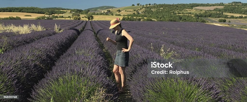 Entspannen Sie sich und genießen Sie die Lavendelfelder der Provence - Lizenzfrei Blüte Stock-Foto