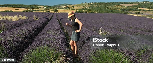 Entspannen Sie Sich Und Genießen Sie Die Lavendelfelder Der Provence Stockfoto und mehr Bilder von Blüte