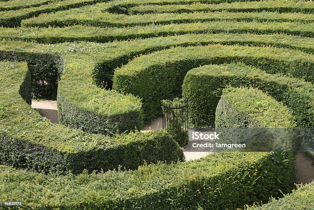 Una siepe Labirinto - Foto stock royalty-free di Labirinto