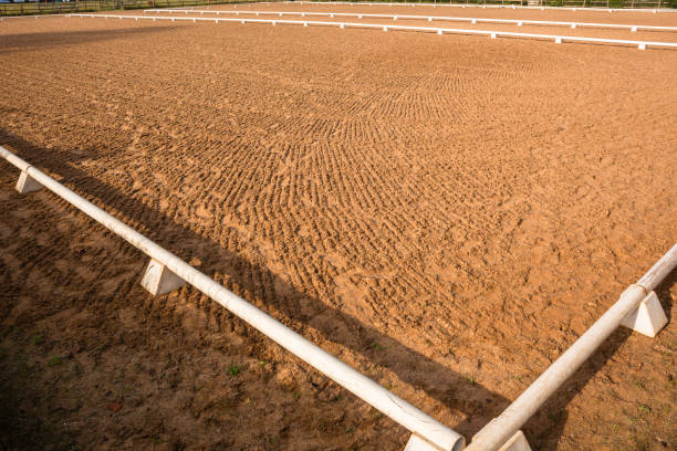 istock Equestrian Horse Arena 968312480