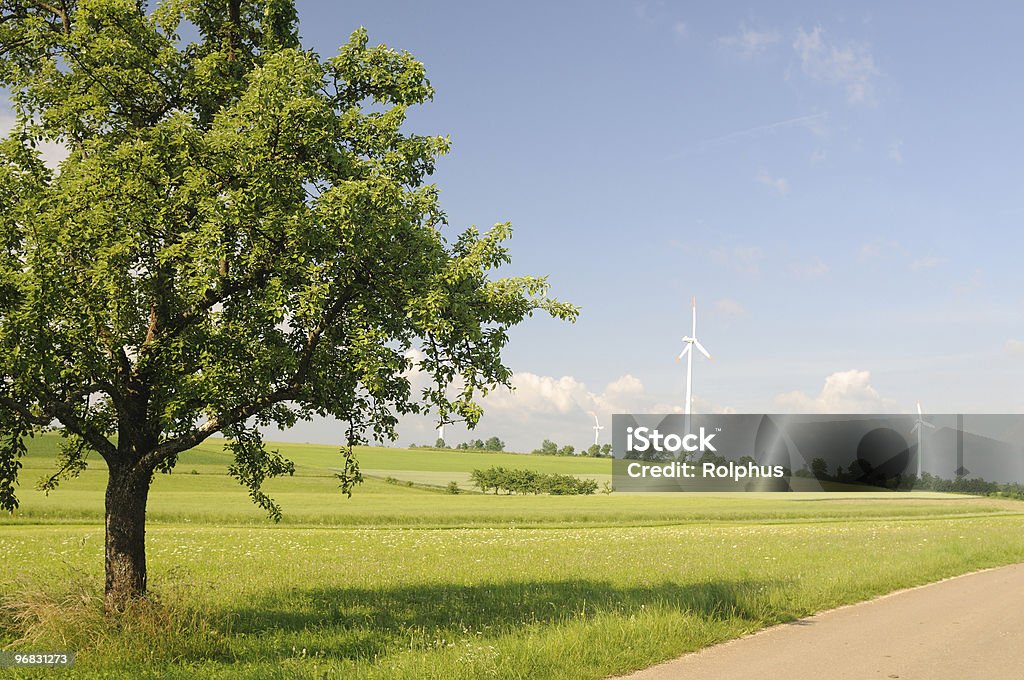 Summer Tree e Windpark - Foto stock royalty-free di Blu